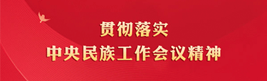 貫徹落實中央民族工作會議精神